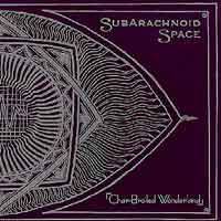 Subarachnoid Space : Char Broiled Wonderland